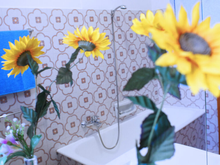 Bagno foto 2 appartamento con una camera B&B Linae Alba Adriatica