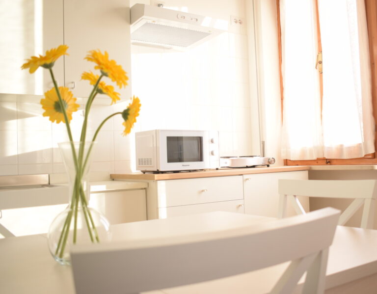 Cucina miniappartamento foto 2 B&B Linae Alba Adriatica